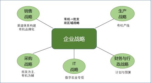 農(nóng)業(yè)軟件開發(fā)戰(zhàn)略落地的路徑與銷售實(shí)踐